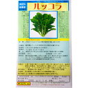 ルッコラ（無肥料栽培種子） Rucola, Rocket-salad / アブラナ科 Eruca sativa Mill. 無肥料栽培種子 国内採種品 ハーブの種 野菜の種 野口種苗 野口の種 家庭菜園 有機栽培 ガーデニング 農業 園芸 無農薬 伝統野菜 在来種 プランター 安心 安全 ポタジェ ベランダ園芸