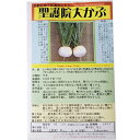 聖護院大かぶ しょうごいんおおかぶ Shogoin Large Turnip / Brassica Rapa.L 野菜の種 野口種苗 野口の種 家庭菜園 有機栽培 ガーデニング 農業 園芸 無農薬 伝統野菜 在来種 プランター 安心 安全 ポタジェ ベランダ園芸