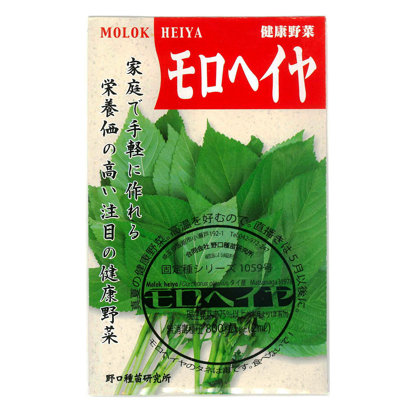 モロヘイヤ Molukhiyah Nalta jute / アオイ科 Corchorus olitorius 野菜の種 野口種苗 野口の種 家庭菜園 有機栽培 ガーデニング 農業 園芸 無農薬 伝統野菜 在来種 プランター 安心 安全 ポタジェ ベランダ園芸
