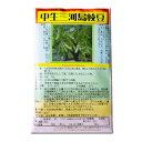 中生三河島枝豆 国内採種品 なかてみかわしまえだまめ Mikawashima Mid Edamame / マメ科 Glycine max 野菜の種 野口種苗 野口の種 家庭菜園 有機栽培 ガーデニング 農業 園芸 無農薬 伝統野菜 在来種 プランター 安心 安全 ポタジェ ベランダ園芸