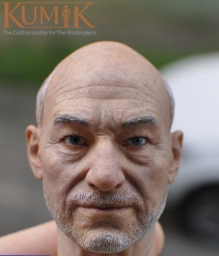 1/6 DIY ヘッドパーツ パトリック スチュワート Patrick Stewart ホットトイズ ファイセン