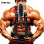 腕力／胸筋ー トレーニングマシン MAX荷重50kg フィットネス ジム ブラック