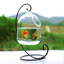 Clear PETFORU 15cm Height Hanging Glass ANAE Fish Bowl Fish Tank Flower Plant Vase wit