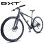 BXT 29inch Bike New Full Carbon Mountain Bicycle 29er Axle Thru Frame 11*1 Speed T800 MTB