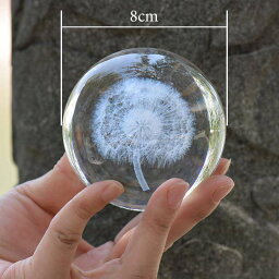 クリスタルボール 3D 植物 タンポポ たんぽぽ テラリウム 置物 ガラスボール 装飾 インテリア オーナメント