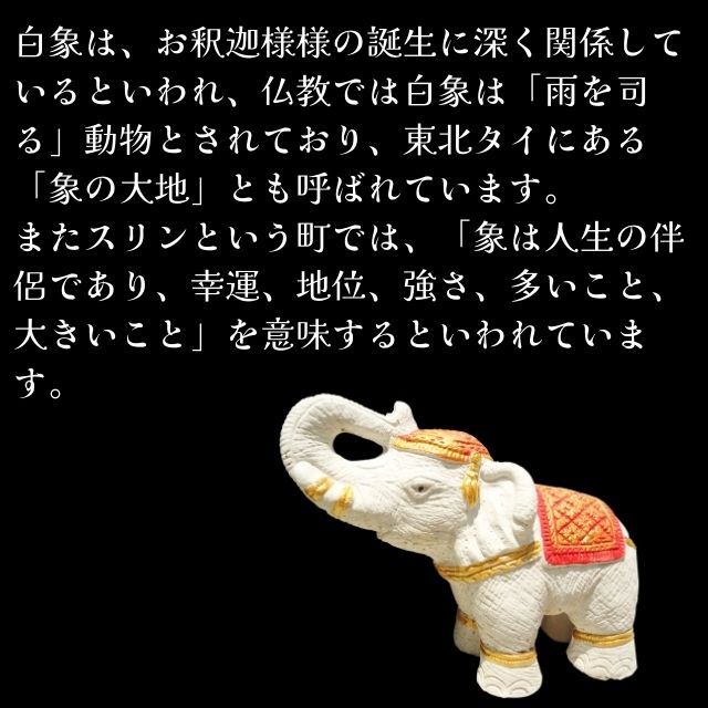 レッドクラブ　ポストカード