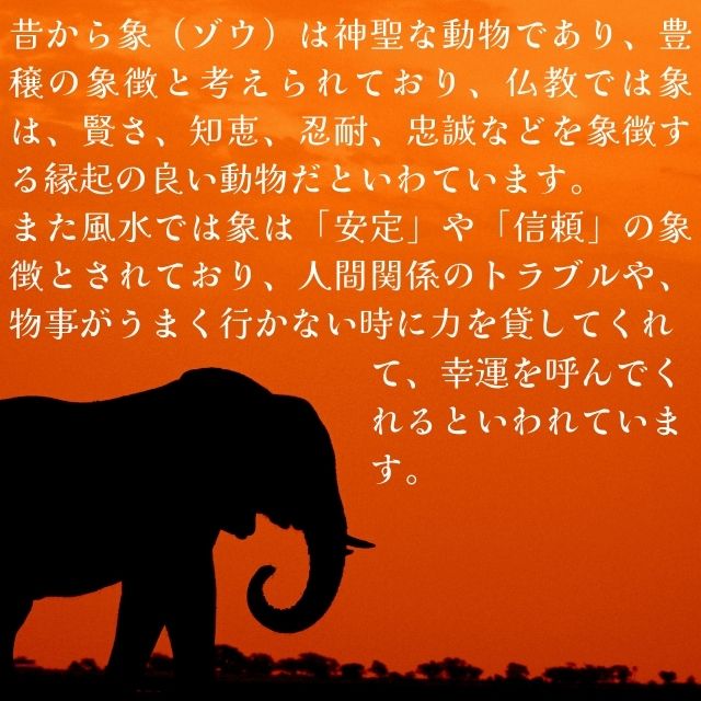 象 置物 ぞう 風水 ゾウ 金の象 ラインストーン装飾 最大長さ約10cm ゾウの置物 キラキラ 小物入れ 金象 インテリア オブジェ グッズ アイテム