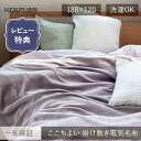 【レビュー特典】WEB限定 コイズミ ここちよい 電気毛布 掛け 敷き 兼用 毛布 厚手 送料無料 KDK-75230 KDK-75240T 洗える 188x1...