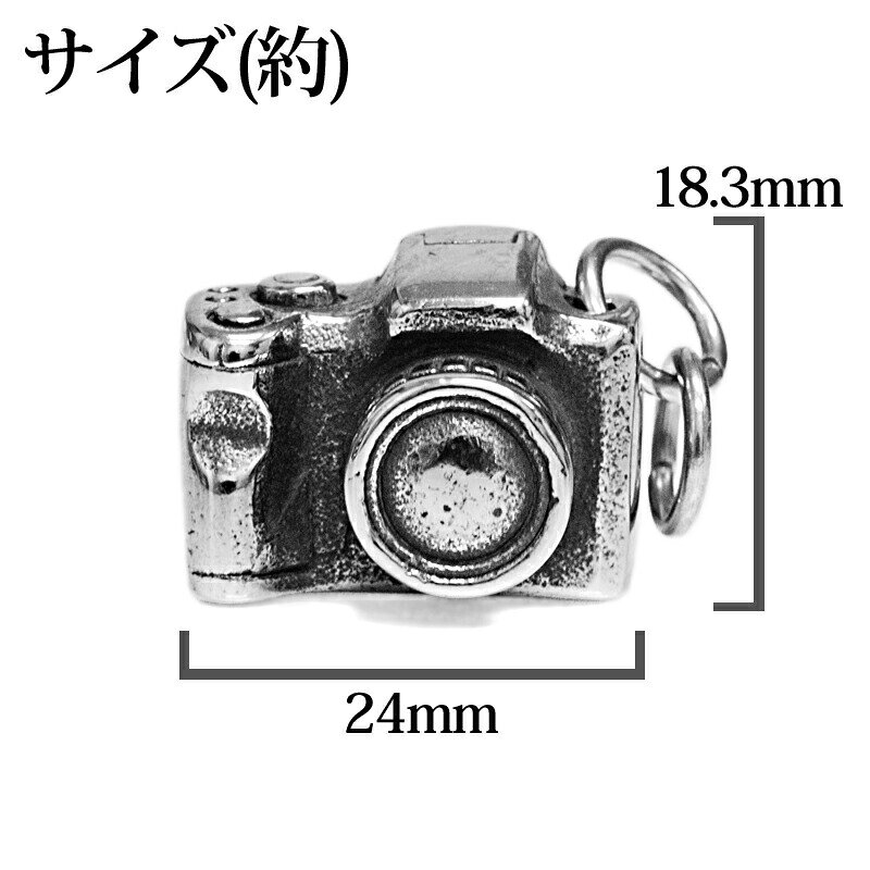 アクセサリー ステンレス チェーン付き カメラネックレス / シルバー ペンダントトップ ペンダントヘッド 一眼レフ エモい トップ セット かっこいい 金属アレルギー対応 モチーフ かわいい 4ages-10005833 4ages サンプル画像3