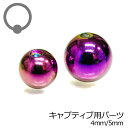 キャプティブ専用交換ボール 4mm 5mm / ボディピアス パーツ ステンレス パープル CBR はめ込み リング型 キャッチ ディンプル シンプル PVD ...