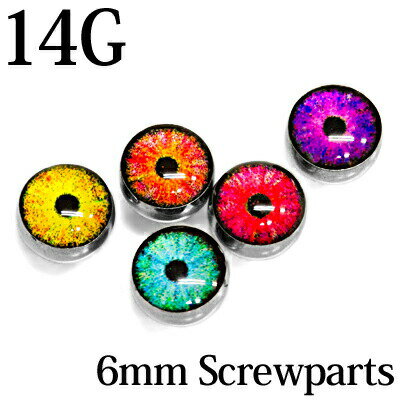 ボディピアス 14G用6mm目玉ネジボールD / 14ゲージ シルバー カスタム 交換用 キャッチ パーツ ステンレス スクリュー かっこいい 金属アレルギー対応 ネジパーツ ネジキャッチ