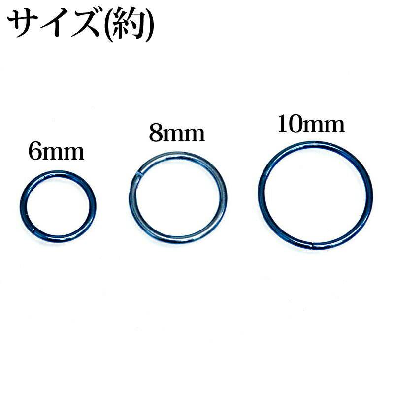 ボディピアス 20G ワンタッチ セグメントリ...の紹介画像3