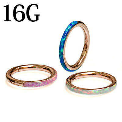ܥǥԥ 16G ѡ륻åȥ󥿥å / ƥ쥹 ץ 16 ա  󥰥ԥ ԥ ...