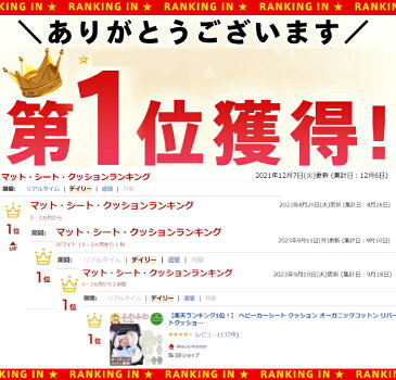 【楽天ランキング1位!】 ベビーカー シート クッション チャイルドシート クッション 新生児 出産祝い ギフト 【あす楽対応】