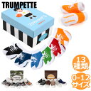 Trumpette gybg \bNX C xr[ \bNX 6Zbg 0-12M 0`12O \bNX Baby Socks oYj ԂpC j̎q BOYS SOCKS