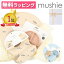 mushie ॷ ꥳޥå ץ졼  3å Silicon Place mat ե åԥ դ ֤ ꥳץ졼 ٥ӡ ٥ӡ Ҥä֤ʤ Υ лˤ ˤ  ̲  ץ쥼