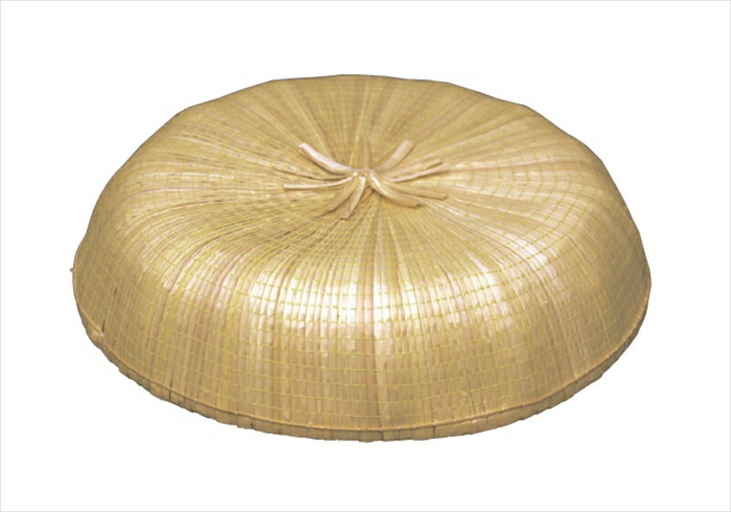 ޳ޡʾľ43cm [Ĥޤ줬 ι ƻ  ]