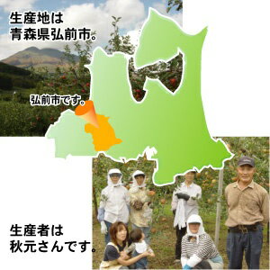 りんご 青森県産 葉とらず サンふじ ●家庭用 10C箱(10kg箱:約32〜50個入)【青森りんご 蜜入りリンゴ 蜜入りりんご 訳あり 葉取らず 林檎 りんごジュースに ギフト 御歳暮 お歳暮 お試し フルーツ 果物 青森県 お取り寄せ 秋元りんご園】【楽ギフ_のし】【RCP】