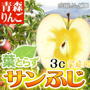 送料無料 りんご 青森県産 なりたりんご園 家庭用 葉とらず サンふじ △家庭用 約3kg箱(約9〜13個入) 青森りんご フォーシーズン 蜜入りリンゴ 蜜入りりんご 訳あり 葉取らず 林檎 りんごジュースに ギフト 御歳暮 お歳暮 フルーツ 送料無料 楽ギフ のしRCP