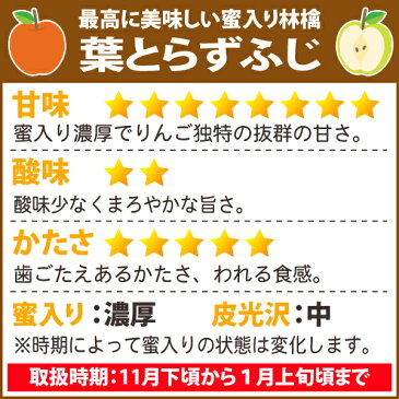 りんご 青森県産 葉とらず サンふじ ●家庭用 10C箱(10kg箱:約32〜50個入)【青森りんご 蜜入りリンゴ 蜜入りりんご 訳あり 葉取らず 林檎 りんごジュースに ギフト 御歳暮 お歳暮 お試し フルーツ 果物 青森県 お取り寄せ 秋元りんご園】【楽ギフ_のし】【RCP】