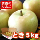 青森りんご とき ●家庭用 5C箱(5kg箱:約14~18個入)【りんご 青森県産 リンゴ 林檎 アップル りんごジュースに ギフト お試し フルーツ 果物 青森県 お土産 お取り寄せ 販売