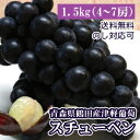 完熟冬ぶどう スチューベン 特秀L&Mサイズ混合 約3kg(約10~14房入) 糖度約18度の極甘ブドウ ブドウ 葡萄 ぶどうジュース フルーツブドウ スチューベン ぶどう訳あり スチューベン農園 スチューベンぶどう食べ方