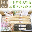 送料無料 十和田美人活彩 お野菜ギフトセットA 長いも(2L)3本/ごぼう(350g)2袋/にんにく(2L)3玉/レンジにんにく(L)2玉 青森 あおもり 母の日 お中元 お歳暮 ギフト プレゼント お礼 青森県産 野菜 ベジタブル お試し野菜セット 野菜セット 訳あり ワケあり お土産