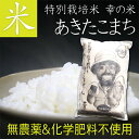 特別栽培米 お米 あきたこまち 10kg 特別栽培 青森県産 名産 青森 あおもり 秋田こまち 米 玄米 胚芽米 白米 精米 10キロのお米 ご飯 ごはん おこ...