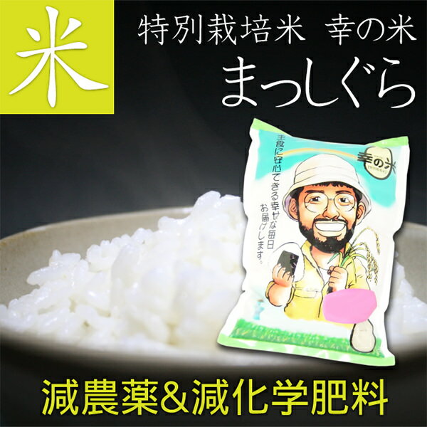 特別栽培米(減農薬&減化学肥料) お米 まっしぐら 10kg　毎日食べるから、体に優...