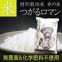 人気ランキング第18位「FourSeasons.青い森の四季」口コミ数「1件」評価「5」送料無料 究極まで農薬や化学肥料を使用しないように育てた特別栽培米 お米 つがるロマン 2kg 青森県産 つがるロマン 玄米つがるロマン 胚芽米 つがるロマン白米 精米 ご飯 ごはん おこめ お米2キロ 父の日 母の日 お中元 お歳暮 ギフト 青森 お土産 ワケあり 訳あり