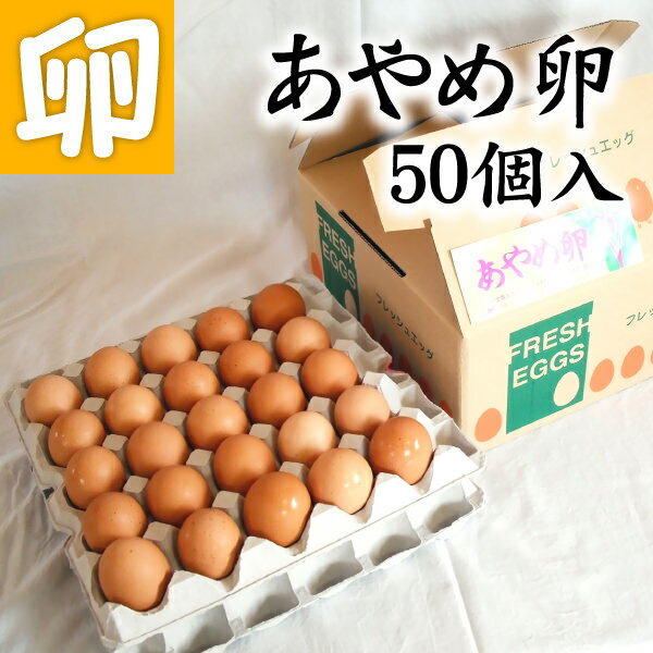 送料無料 あやめ卵 50個 卵かけご飯 専用 高級玉子!! あんしん やさしい うめぇ たまごです♪ 母の日 父の日 お中元 お歳暮 敬老の日 ギフト 贈答 卵かけご飯 産みたて たまご 卵 玉子 送料無料　農場直送 箱売り 新鮮 卵焼き 卵かけ醤油 卵かけご飯セット 玉子焼き