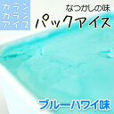 カランカランアイス パック(600g) ブ