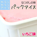 カランカランアイス パック(600g) いちご味 ババヘラ アイス ジェラート シャーベット アイスクリン モナカ コーン アイスクリーム ス..