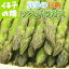 【送料無料】真冬の甘熟 アスパラガス (アスパラ) 2Lサイズ 500g (100gx5束) 生食できるほど甘い♪ 茹で時間は1分以内で!!【青森 お土産 青森県産 野菜 ベジタブル お試し 訳あり ランキング ギフト 完熟 ゆで方 ゆで時間 レシピ 人気 】【RCP】