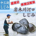 期間限定 青森十三湖産 岩木川河口 禁漁区解禁 しじみ貝 (活) 青森 しじみ 大粒 1kg 青シジミ 蜆 しじみ汁 しじみエキスヤマトシジミ 国産しじみ 天然...