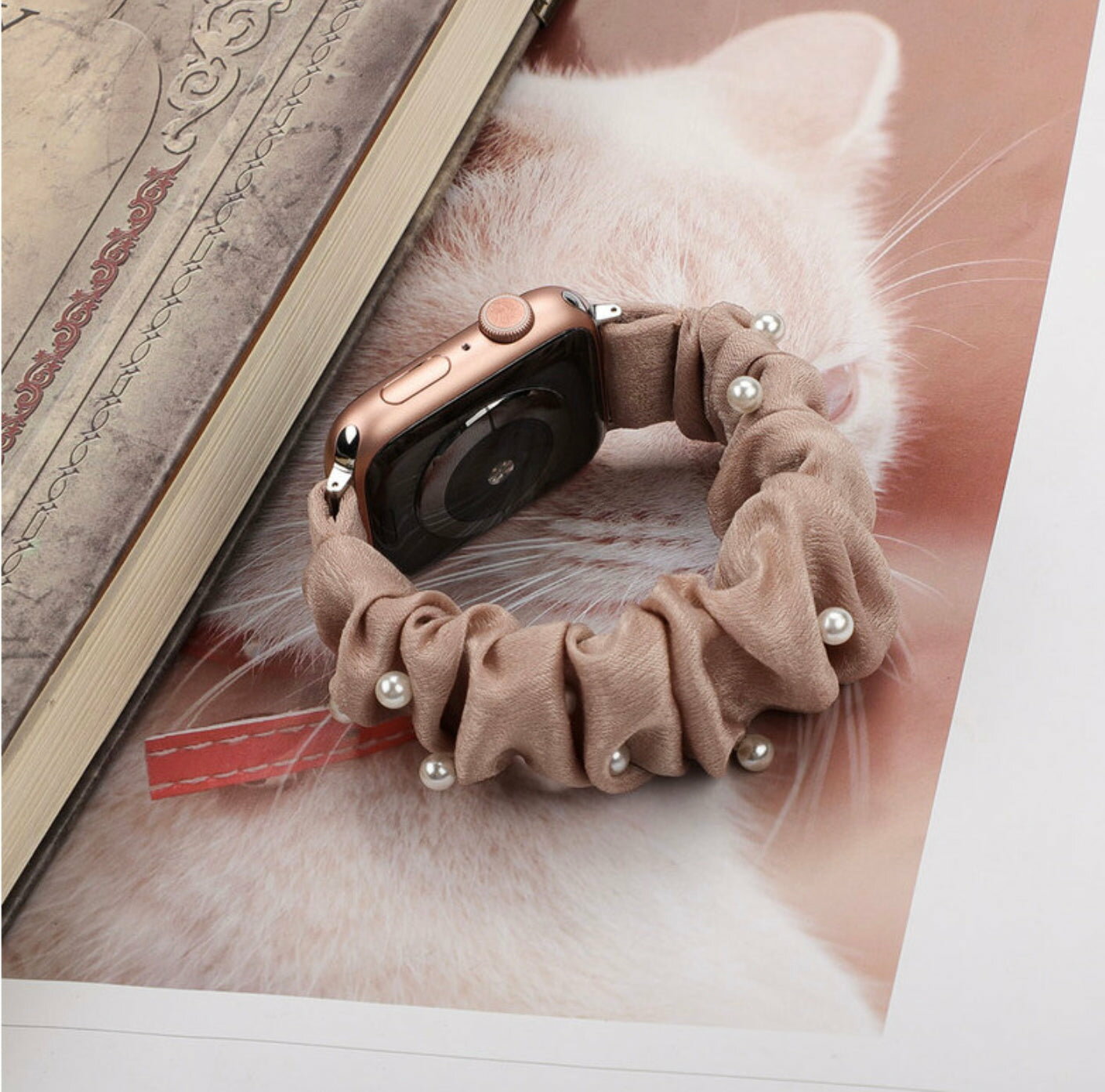 シュシュ ナイロンソロループ　(パールアプリコット)