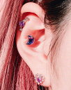 VIOLET Pansy (ピアス/ボディピアス キャッチ ボディピアス キャッチ ピアッシング 軟骨ピアス 16G 軟骨ピアス)(4)
