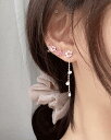 Azalea ピアス&イヤーカフ(4)