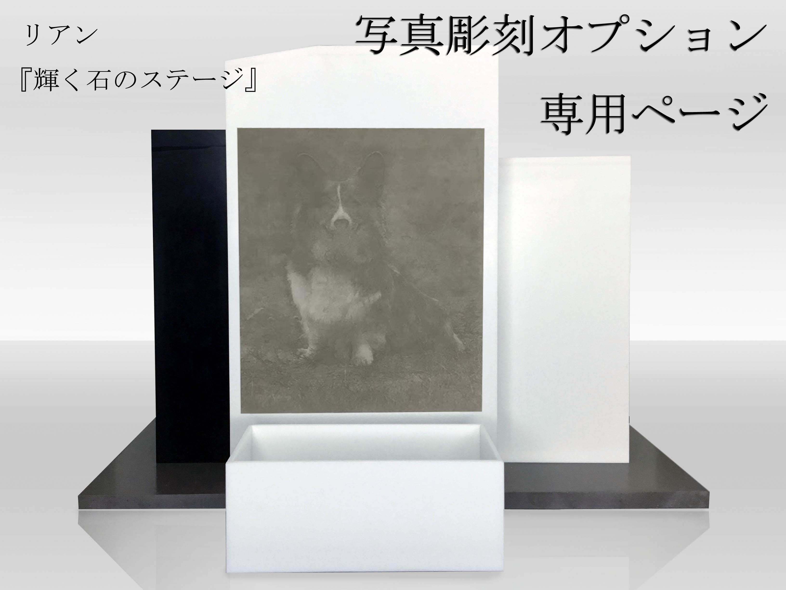 Rakuten - リアン「輝く石のステージ」写真レーザー彫刻オプション