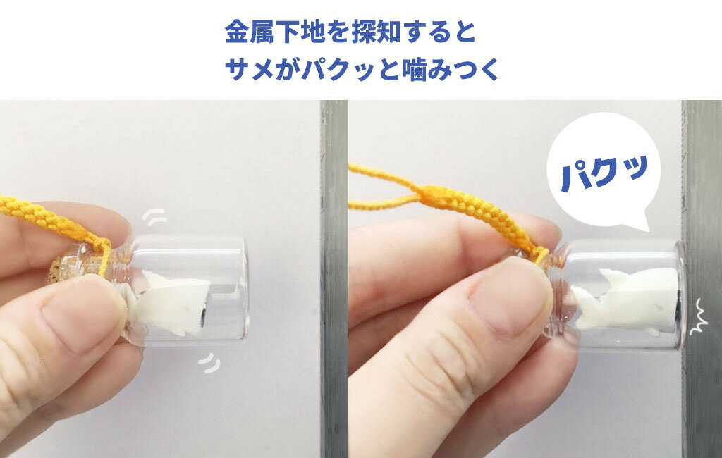 ���ϥ����å������ȥ�åס֥��㡼����