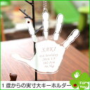 【手形、足形のキーホルダー】1歳を過ぎてからのそのまんまあんよ(おてて)プレミアム■赤ちゃん 手形 名入れ キーホルダー メモリアル/成長記録/七五三【楽ギフ_のし宛書】【楽ギフ_メッセ入力】【楽ギフ_名入れ】【RCP】【楽天カード分割】05P03Dec16