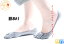 訳あり【日本製】COOLMAX 正規品《クールマックス 5本指 フットカバーソックス 》インナーソックス パンプスイン 冷え取り靴下 あったか レディース 靴下 蒸れない 吸汗 保温 温活 五本指 浅履き 脱げない 見えない