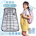 【期間限定:1,880円→1,490円!】リュック用冷却 グッズ 熱中症対策 クールリュック 背中冷却 背中ひんやり クールベスト アイシング 吸熱素材 接触冷感 スポーツ観戦 通勤 通学 アウトドにもおすすめ