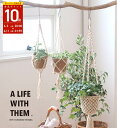 【公式】\梅雨対策グッズ03/マクラメハンギングカバー(A LIFE WITH THEM)500WORKS.マクラメ 糸 プラントハンガー タペストリー ハンギ...