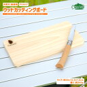 【ポイントUP対象商品】【ネコポス送料無料】 アウトドア ウッドカッティングボード Pine Field 木製 まな板 キャンプ 桧 檜 ひのき 天然木 レジャ...