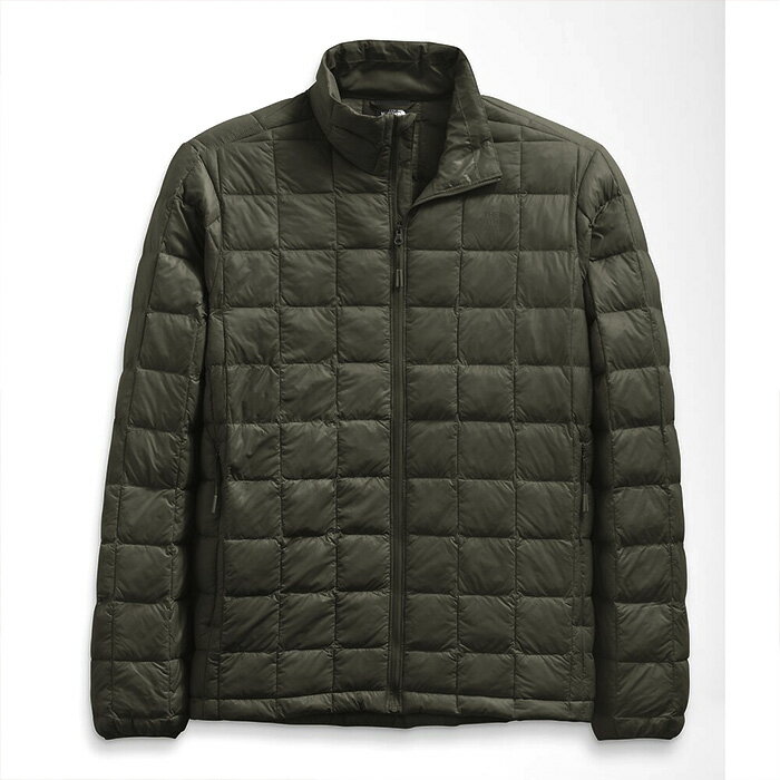 USA企画 日本未発売 ノースフェイス THE NORTH FACE メンズ ダウンジャケット fa150