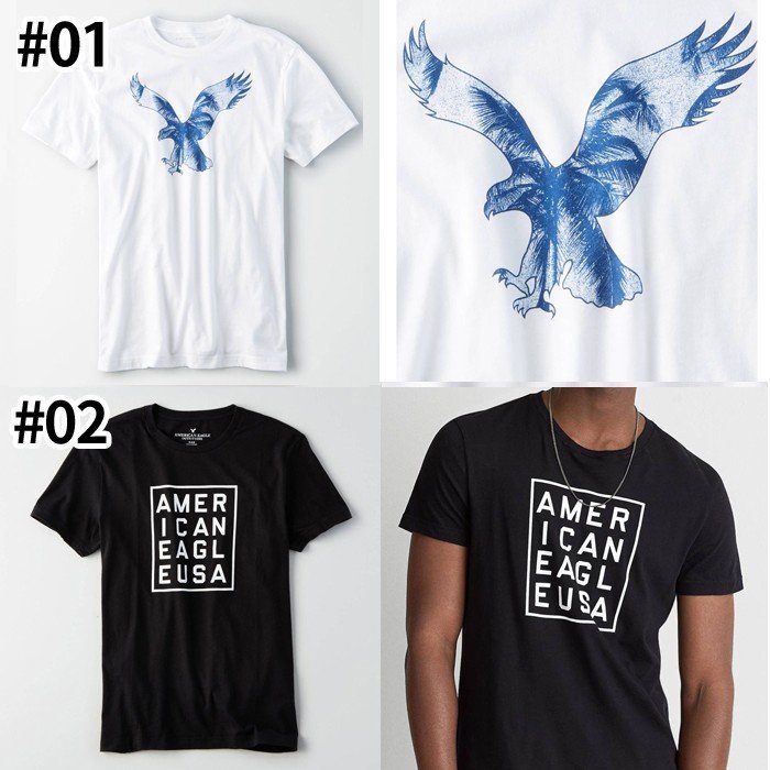 4/1(日)10時からエントリーで ポイント10倍!!【American Eagle】アメリカンイーグル正規品 メンズ AE 半袖 Tシャツ(ae77) アメカジ アメリカ ブランド