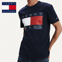 トミー Tシャツ TOMMY HILFIGER メンズ トミーヒルフィガー Tシャツ t605 USAモデル