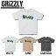 GRIZZLY ꥺ꡼ 2020ղ GRIZZLY TO THE MAX YOUTH S/S ܡȾµ GYA2001P08 Ⱦµåȥ TEE å WhiteSandCharcoal 3顼 SML XLʡۡڤб