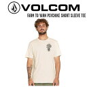 yVOLCOMz{R 2023t FARM TO YARN PSYCHIKE SHORT SLEEVE TEE Y TVc  XP[g{[h T[tB AEghA M/L/XLyKizyyΉz